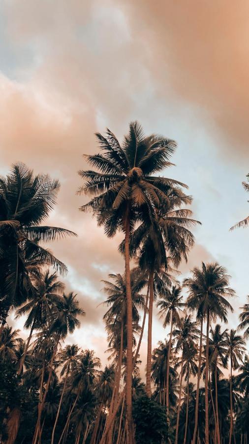 Ocean Vibes Hotell Thong Sala Eksteriør bilde